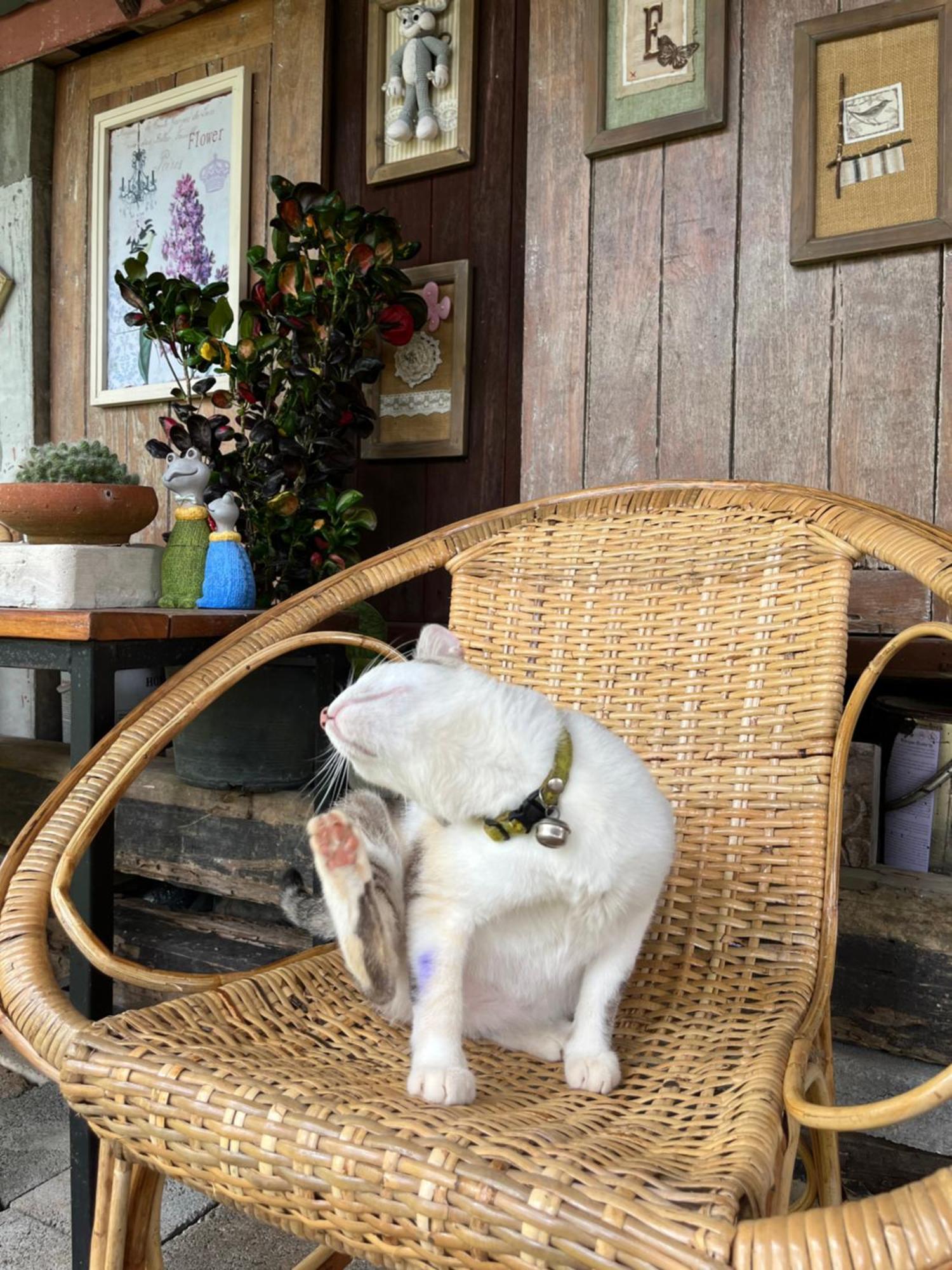 ครูหนูบ้านพัก แหลมงอบ Krunou Baanpak Trat Exterior foto