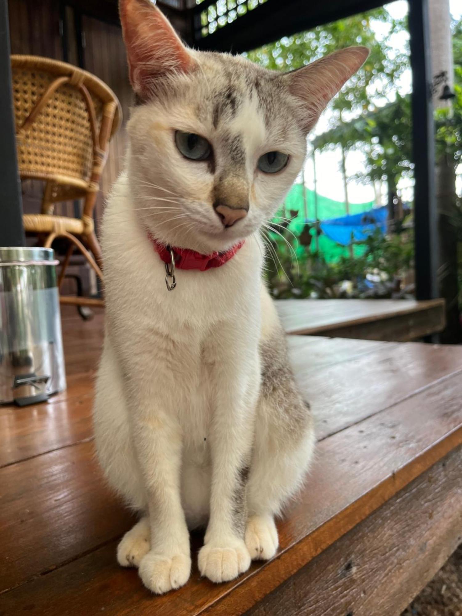ครูหนูบ้านพัก แหลมงอบ Krunou Baanpak Trat Exterior foto